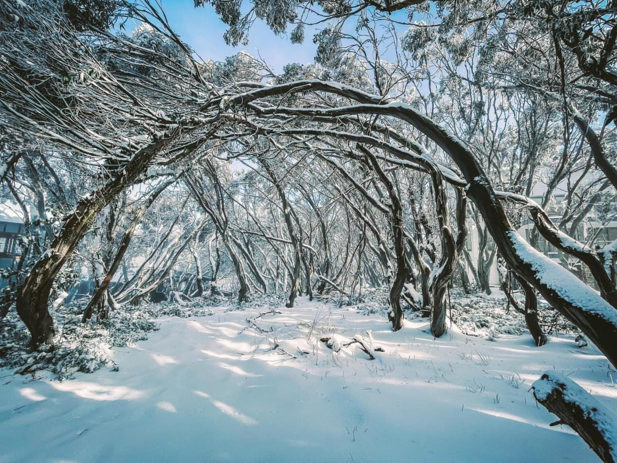 Hotel Ajax Ski Club Mount Buller Esterno foto